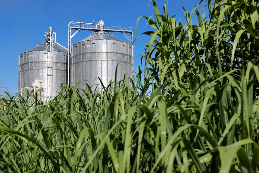 How-Biomass-Supports-Rural-Growth
